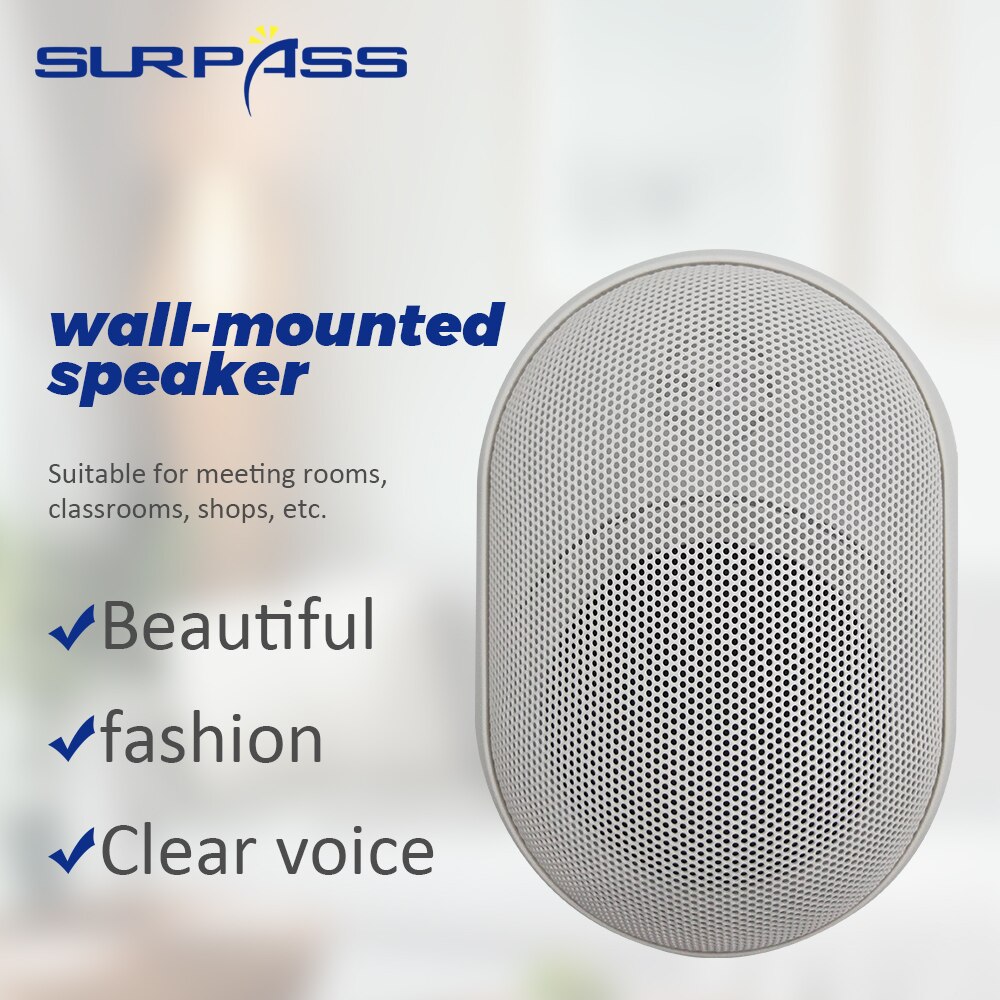 15W Outdoor Wall Mount Speaker Box Slim Stereo Pa Speaker for Park School Shopping Mall Background Music Player