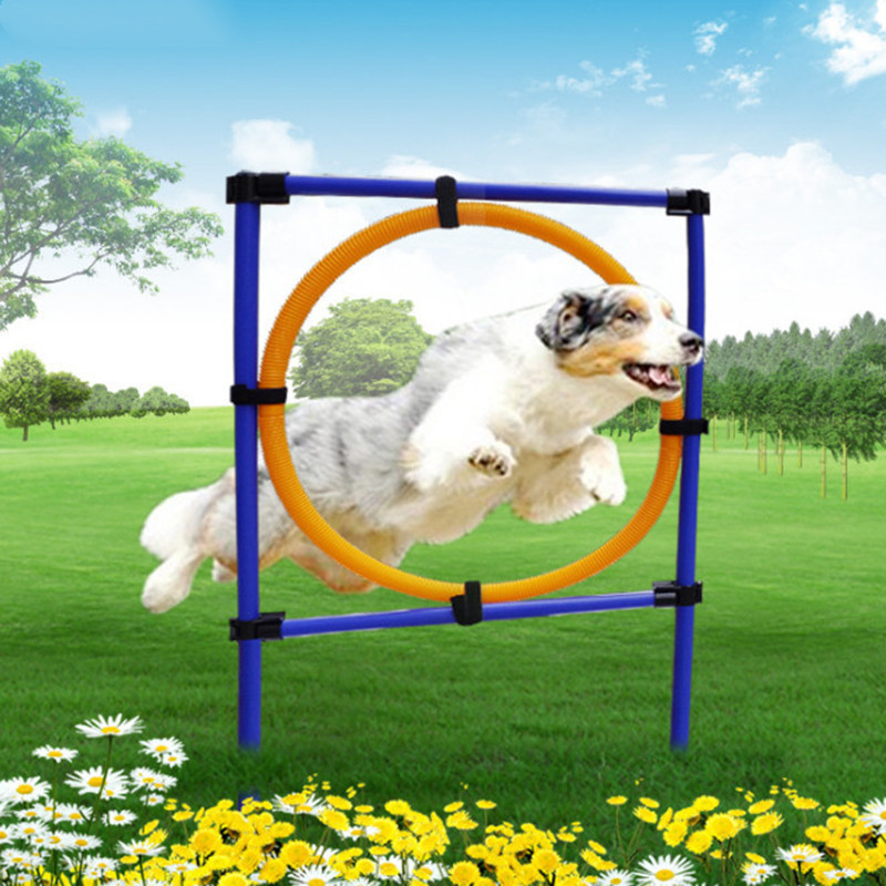 Puppy Outdoor Exercise Training Supplies Pet Sports Equipment Training Toys Dogs High Jump Outdoor Jumping Through a Circle