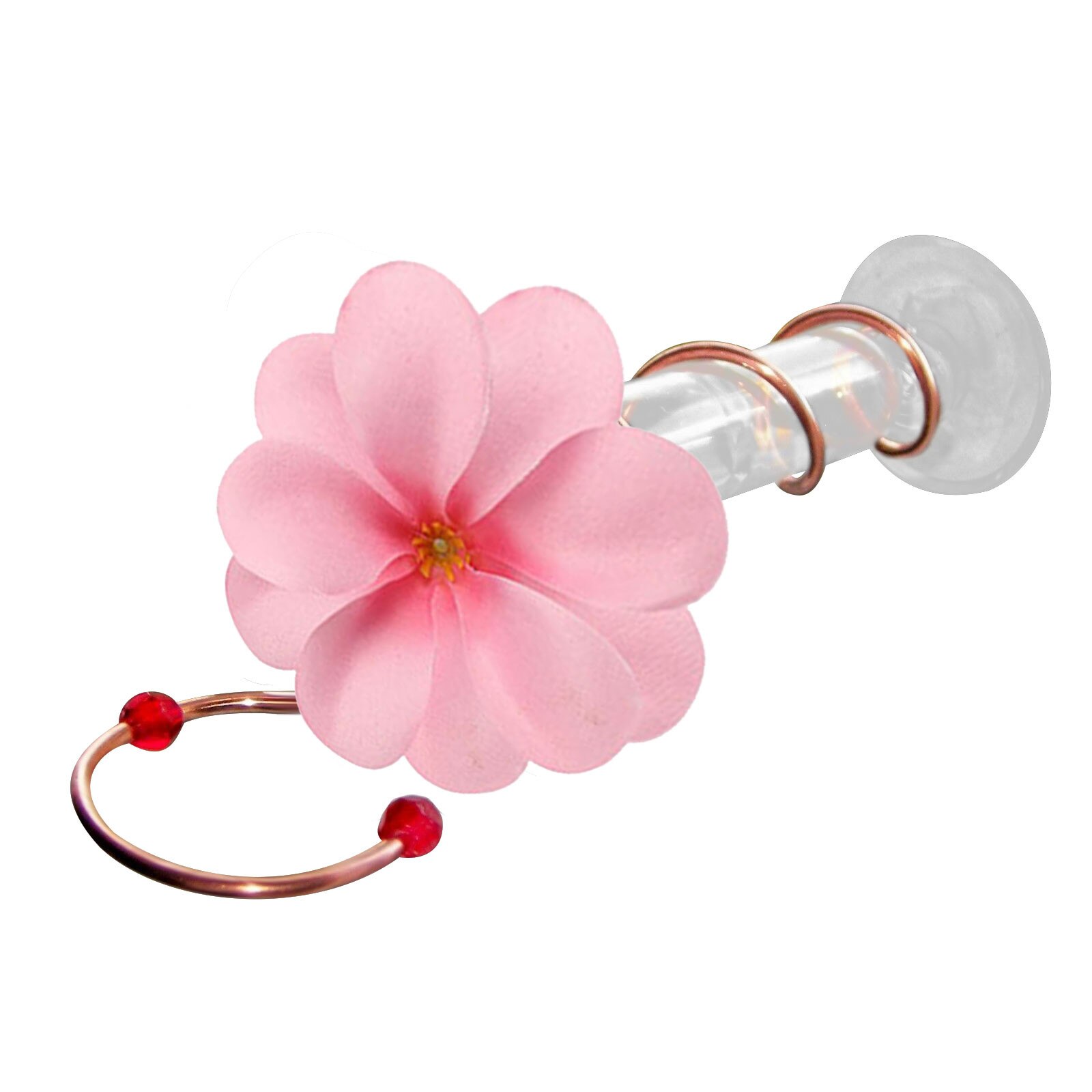 Courtyard Bird Feeder Red Berries Humming Bird Feeder 3 Feeding Bottles Berries Humming Bird Feed Seed Accessories: C