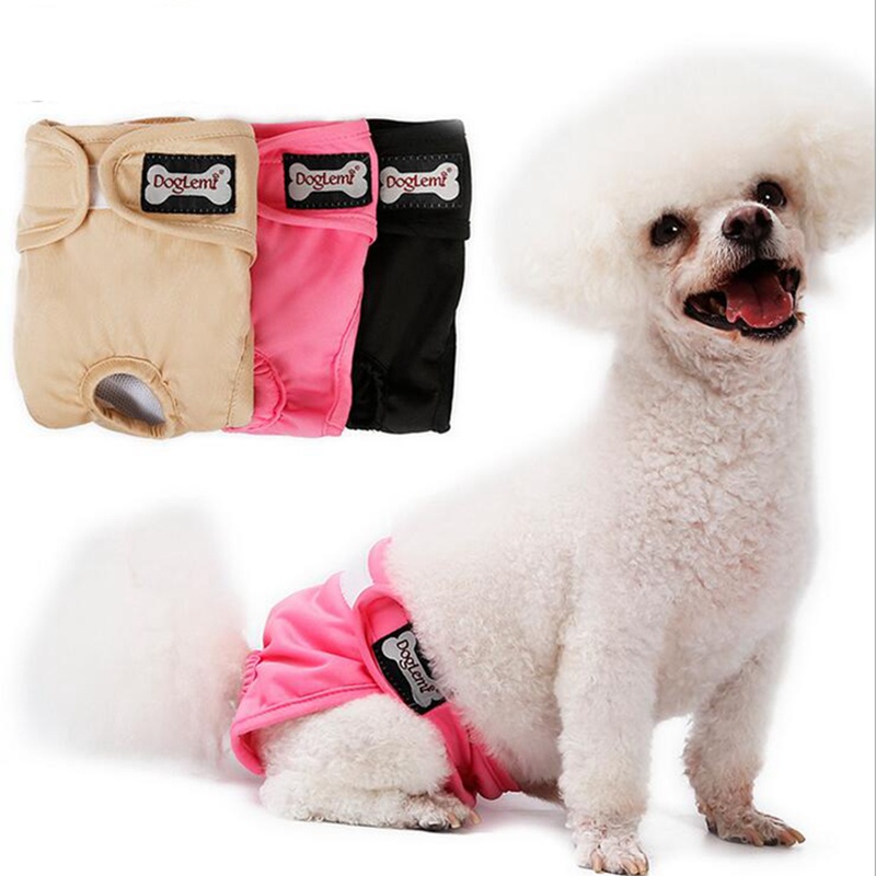 Couche-culotte lavable pour chien, XS-XL animaux domestiques, pantalon physiologique, culotte, Menstruation