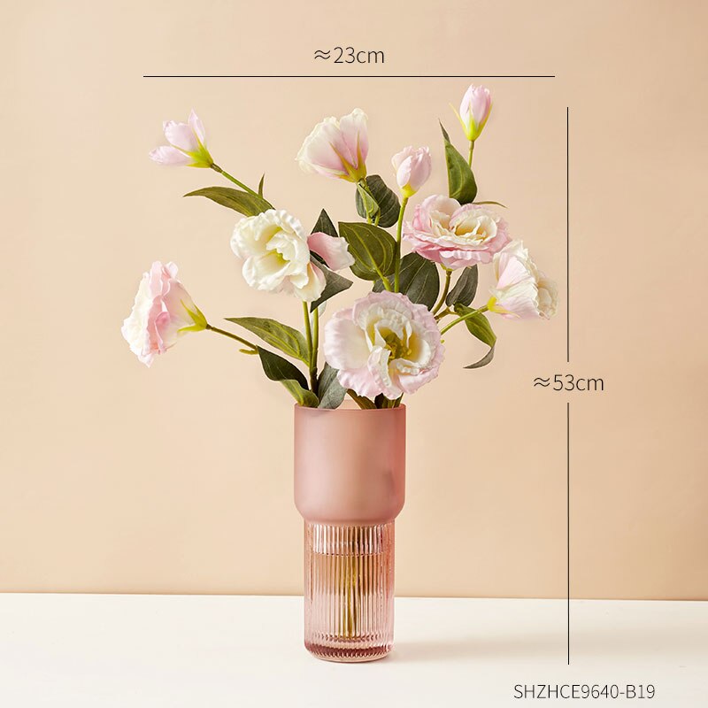 Eenvoudige decoratie van gematteerde glazen vazen, transparante vazen, scandinavische interieurdecoratie, inzetstuk voor thuis, bloemenknutsels: Q