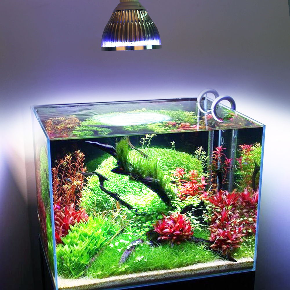 Huisdier Verlichting 36W Aquarium Verlichting Cora... Grandado
