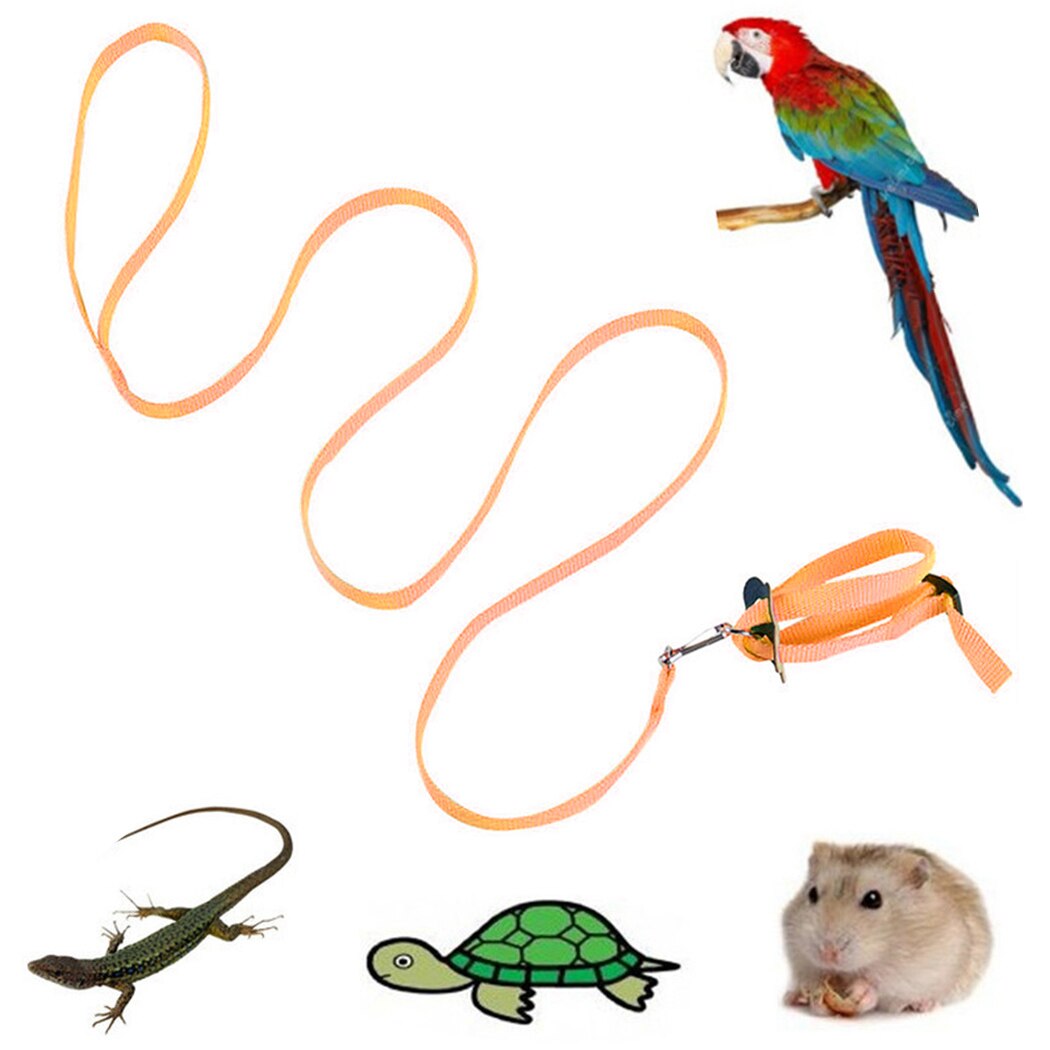 1 pièces harnais pour oiseaux laisse Nylon réglable perroquet harnais laisse fournitures pour oiseaux perroquet oiseau AntiBite en plein air harnais de vol: Orange