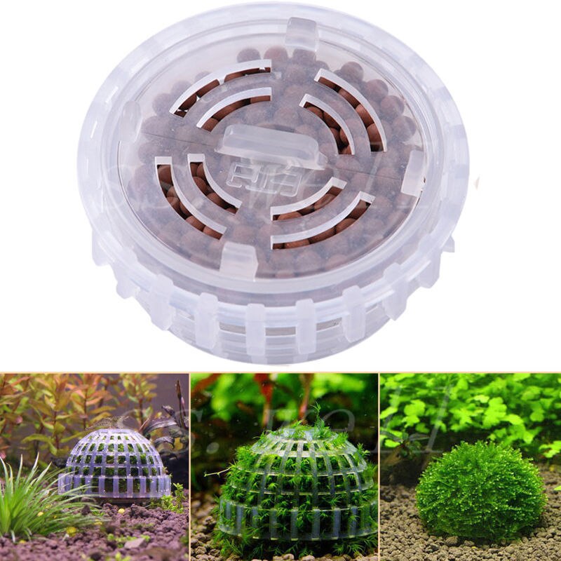 Bola de musgo para acuario, filtro de planta viva, decoración divertida, 5cm, novedad de
