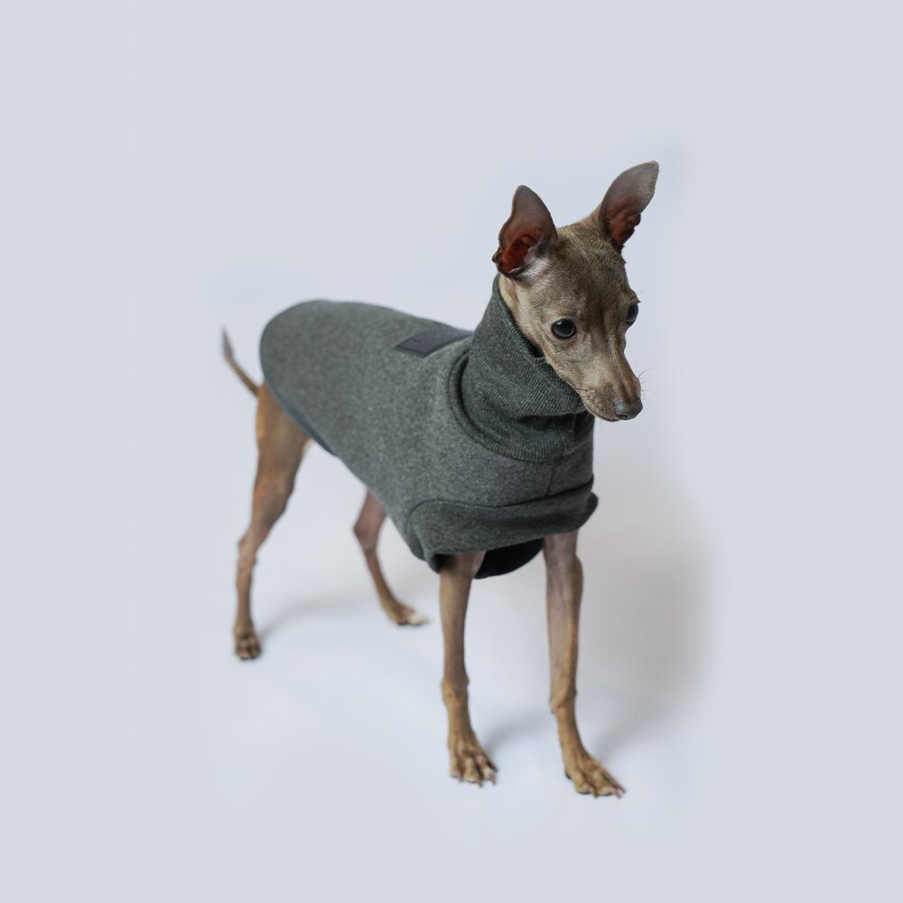 Small and Medium Dog Clothes Italian Greyhound Clothes Autumn and Winter Fleece Dog Clothes Dog Sweater Dog Accessories