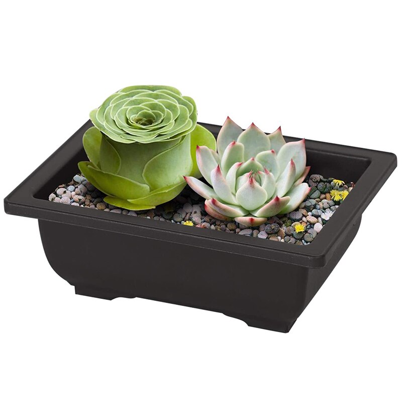 Rektangulär plast bonsai träningskruka, blomma och köttig kruka behållare, används för trädgård, heminredning