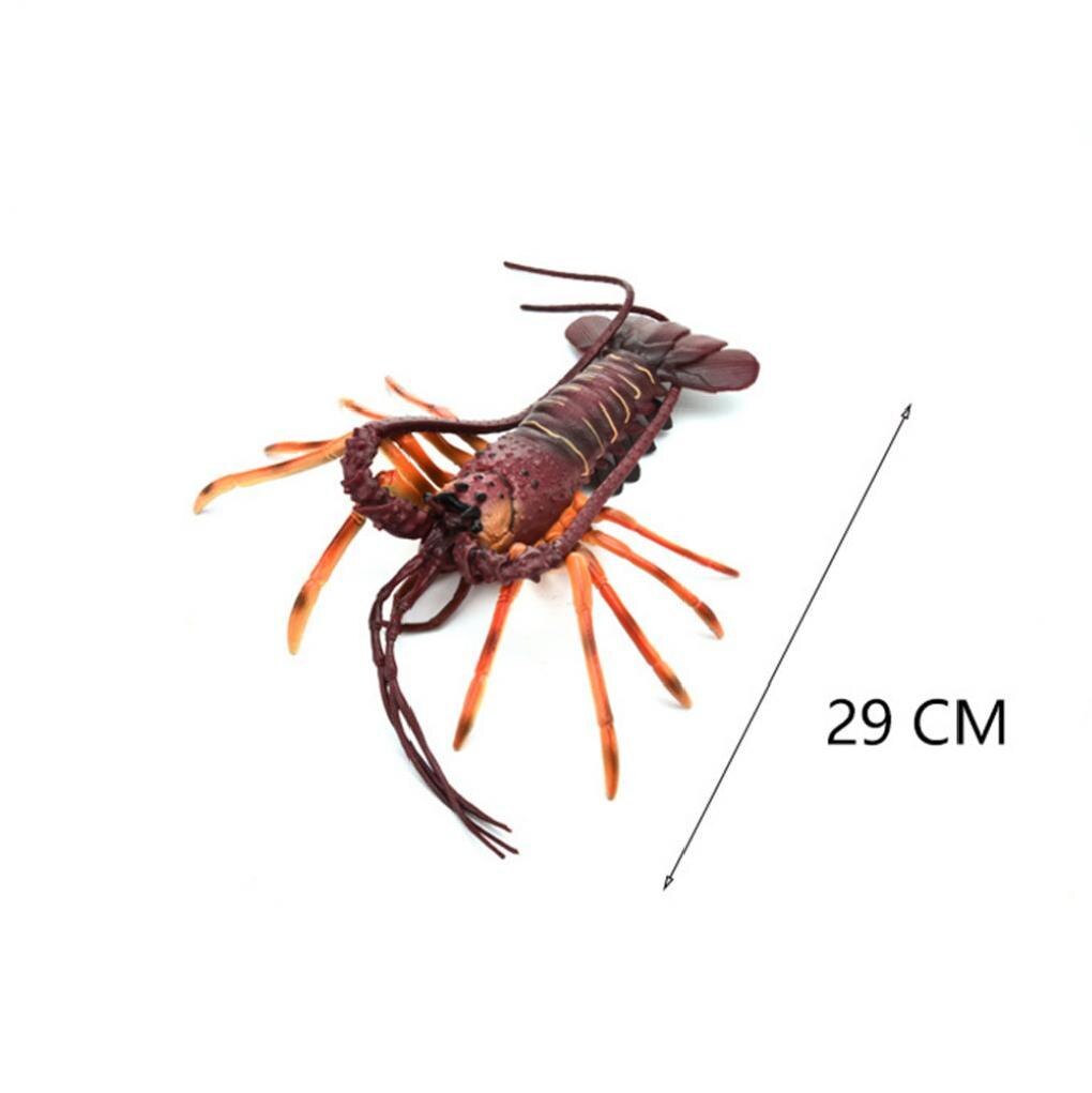 Homard artificiel modèle empereur foncé | Aquarium, Aquarium, jouet éducatif pour enfant, Simulation homard