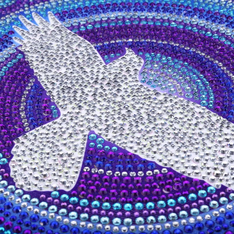 Diamond Painting DIY 5D Special Shape Rhinestone, Crystal Diamond Painting Set D2TD