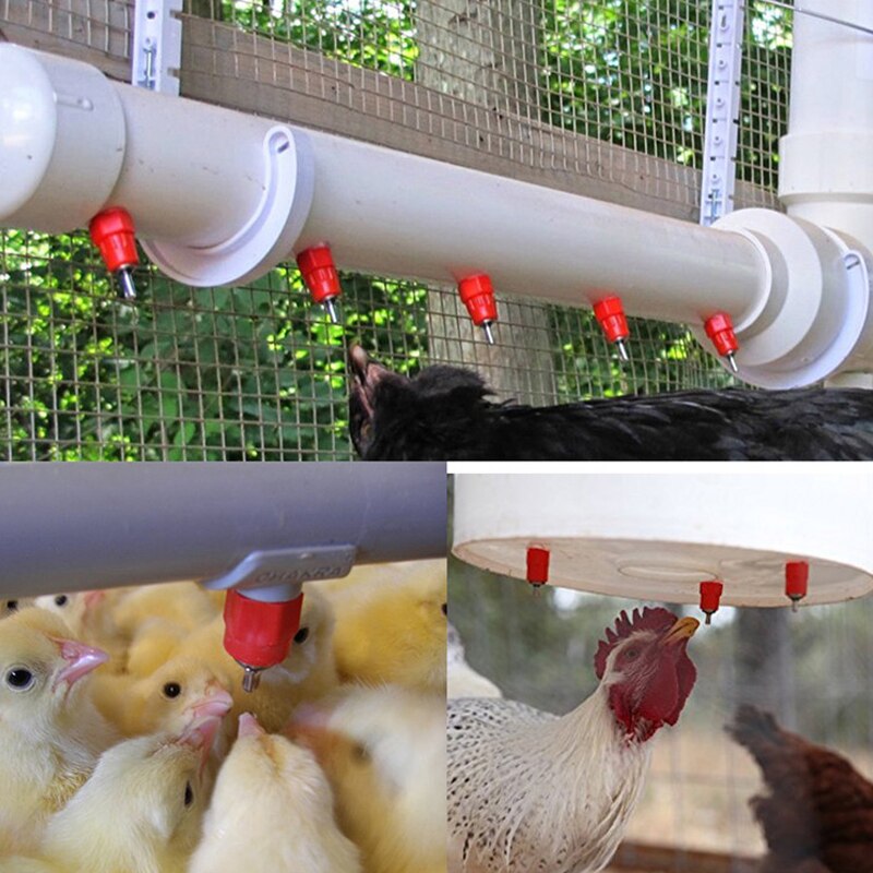 Chicken Waterer Nipple Drinkers Quail Pigeon Bird Waterer Nipples Automatic Waters Spring Type Poultry Farming Equipment