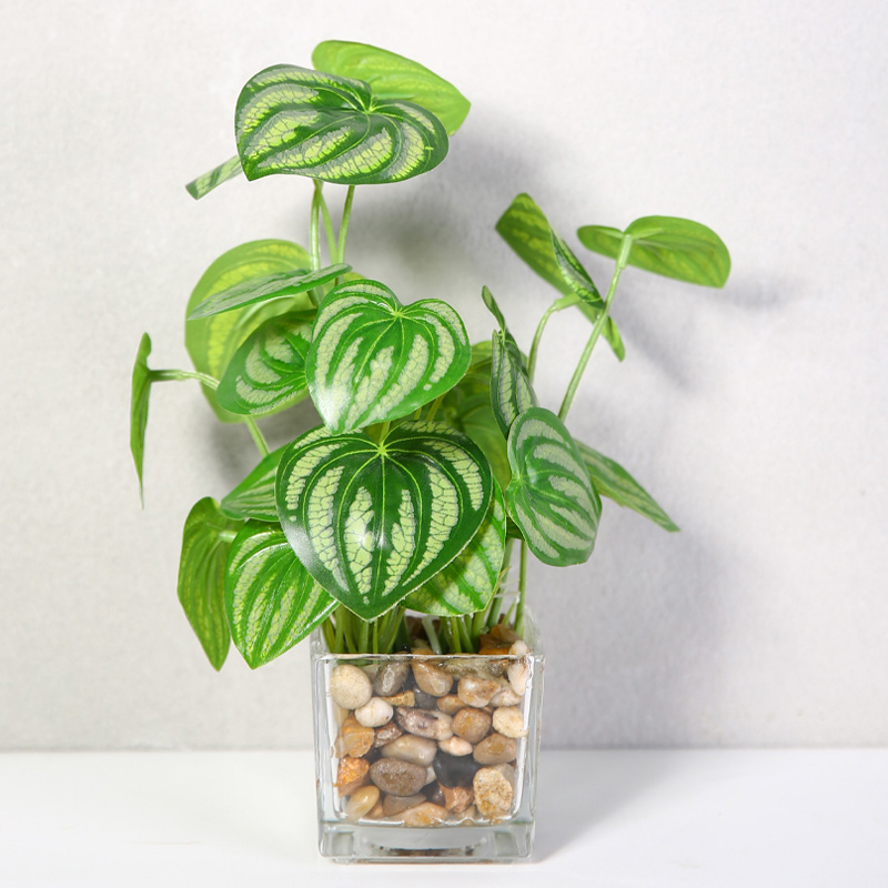 Erxiaobao kunstige planter med glaspotte simulation bonsai potteplanter placeret grønne firkløver hjemmebord vinduer dekoration