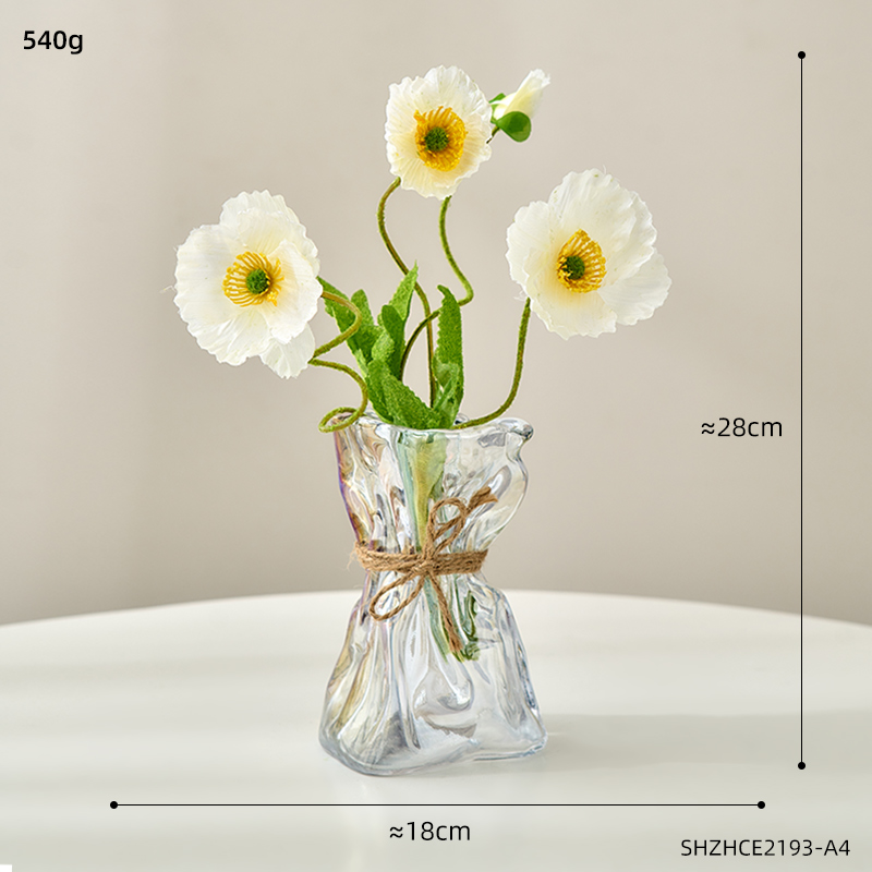 Glazen Vazen Transparante Tafelblad Decor Terrarium Thuis Decoratie Vazen Voor Bloemen Woonkamer Decoratie Tafelblad Accessoires: Combination D