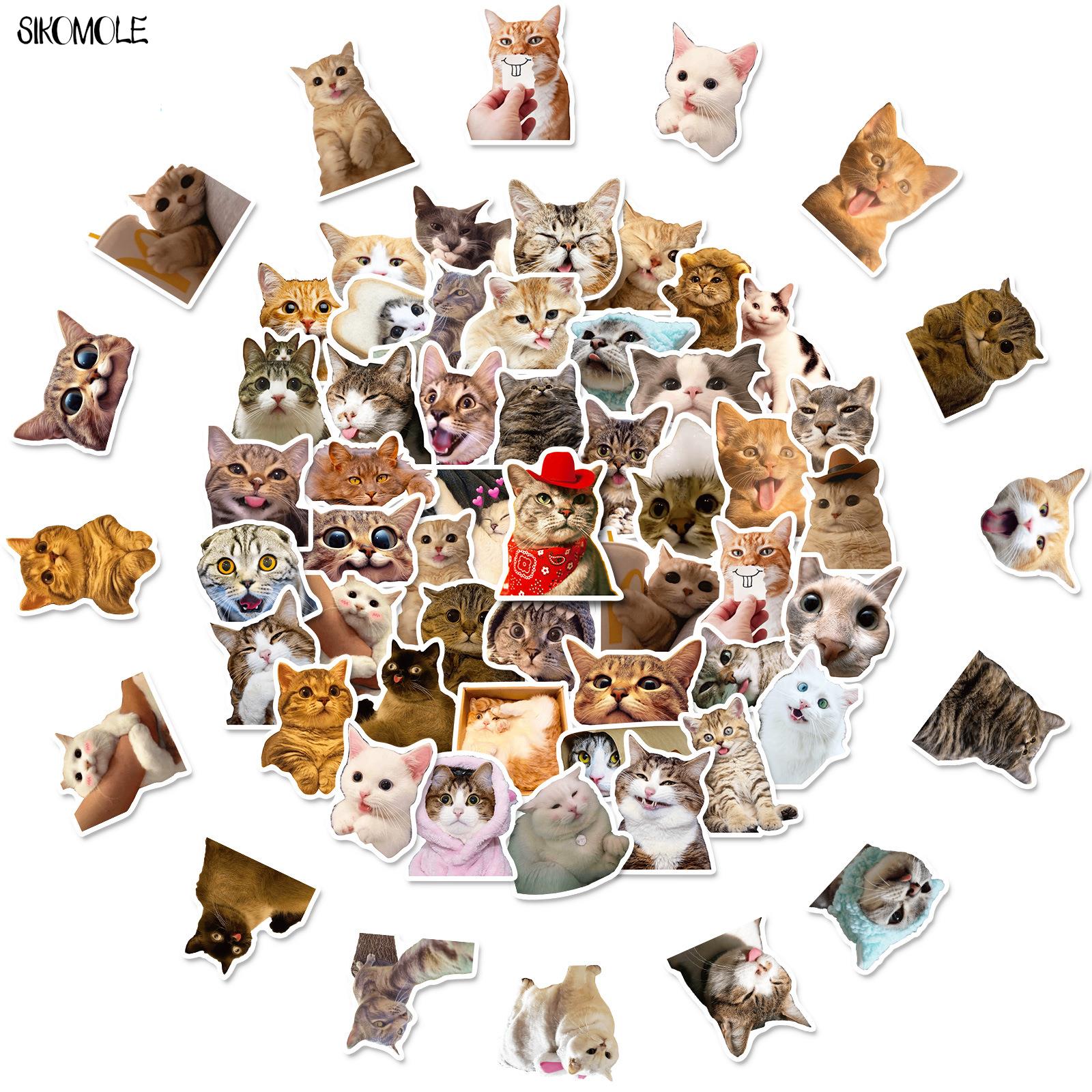 10/30/50 Stuks Mix Cartoon Kat Stickers Uitdrukking Grote Hoofd Foto Dier Voor Kinderen Diy Speelgoed Reizen Laptop Graffiti Sticker Stickers