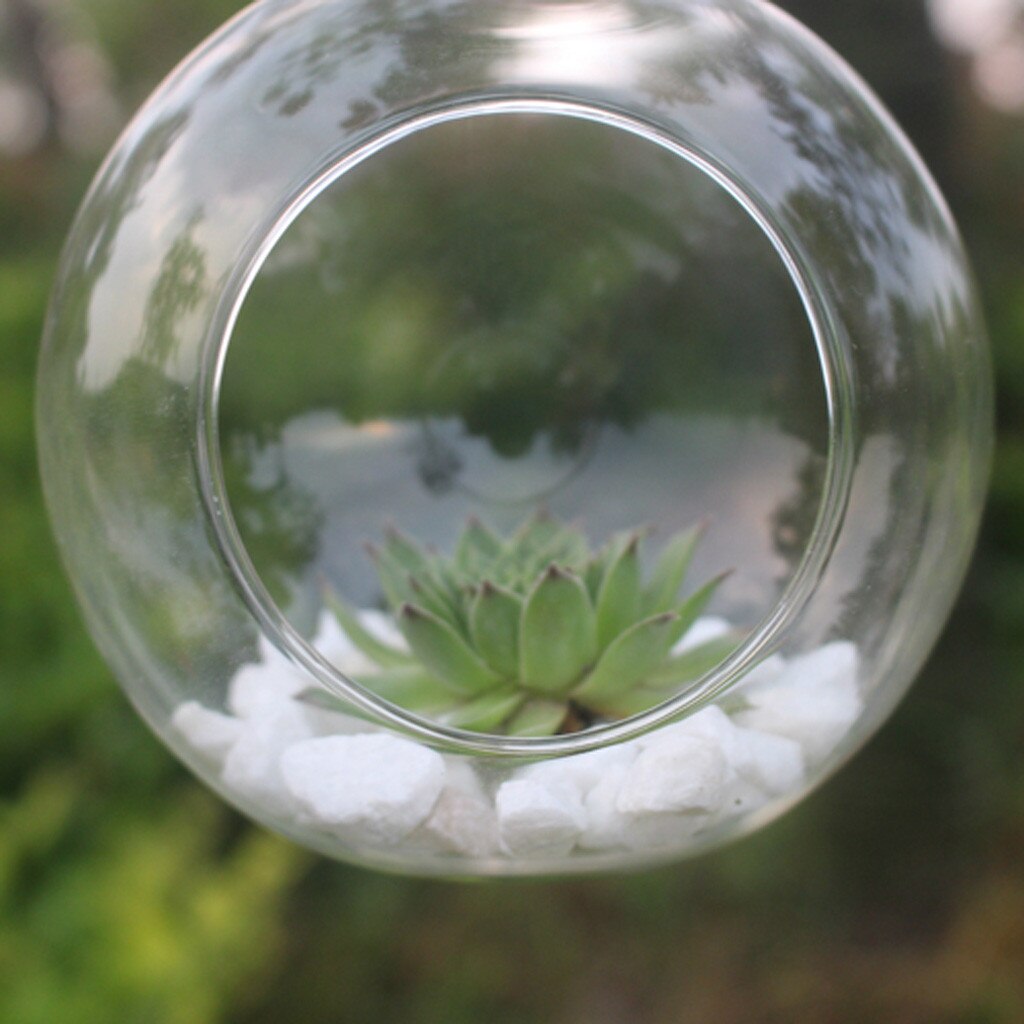 Blomst hengende vase glass planter plante terrarium container hjem bryllup dekor