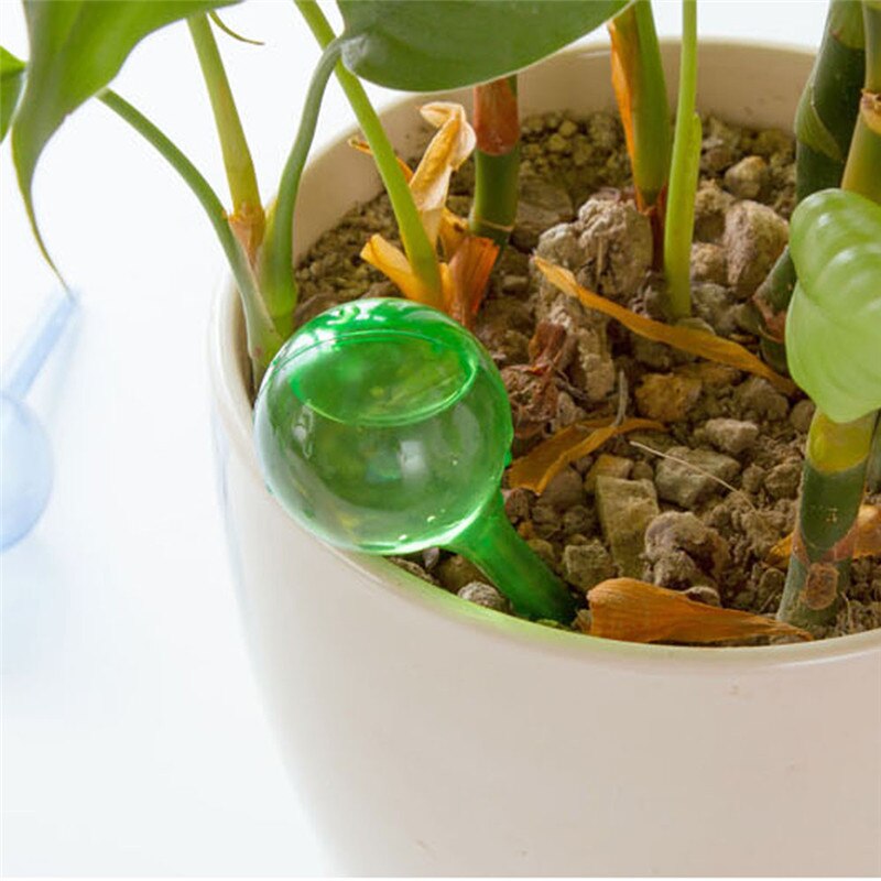 Flower Automatic Watering Device Houseplant Plant Pot Bulb Globe Garden House Waterer Water Cans