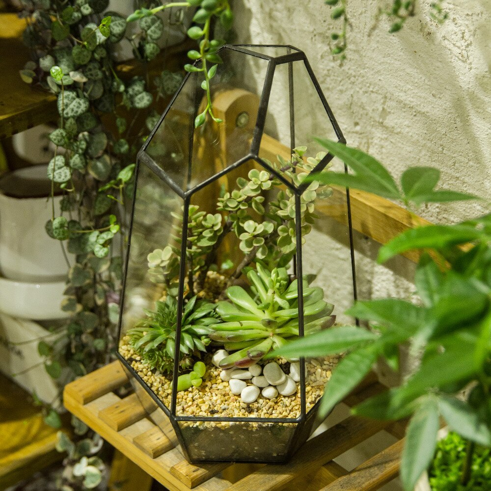 Glas terrarium planter have bordplade miniature uregelmæssig geometrisk glas blomsterpotte til sukkulenter mos bregner plante terrarium