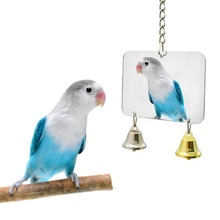 5 Stijl Huisdier Speelgoed Spiegel Fun Speelgoed Voor Valkparkiet Papegaaien Kleine Vogels Papegaai Speelgoed Huisdier Papegaaien Klim Accessoires