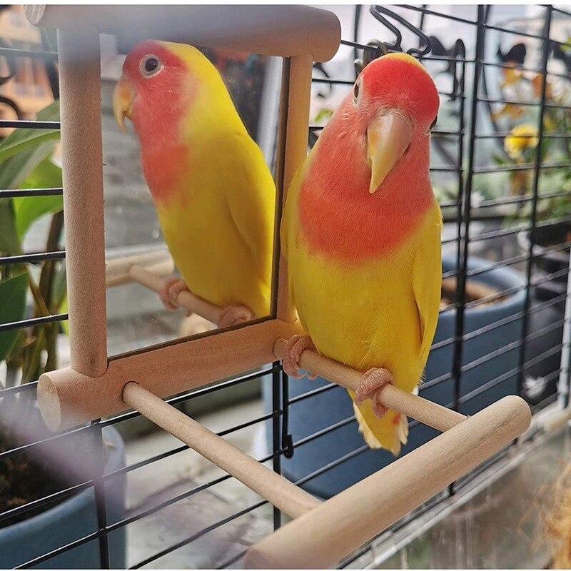 Miroir d&#39;oiseau avec perche, support de jouet de perche d&#39;oiseau, jouet d&#39;oiseau pour Cage de perruches de perroquet