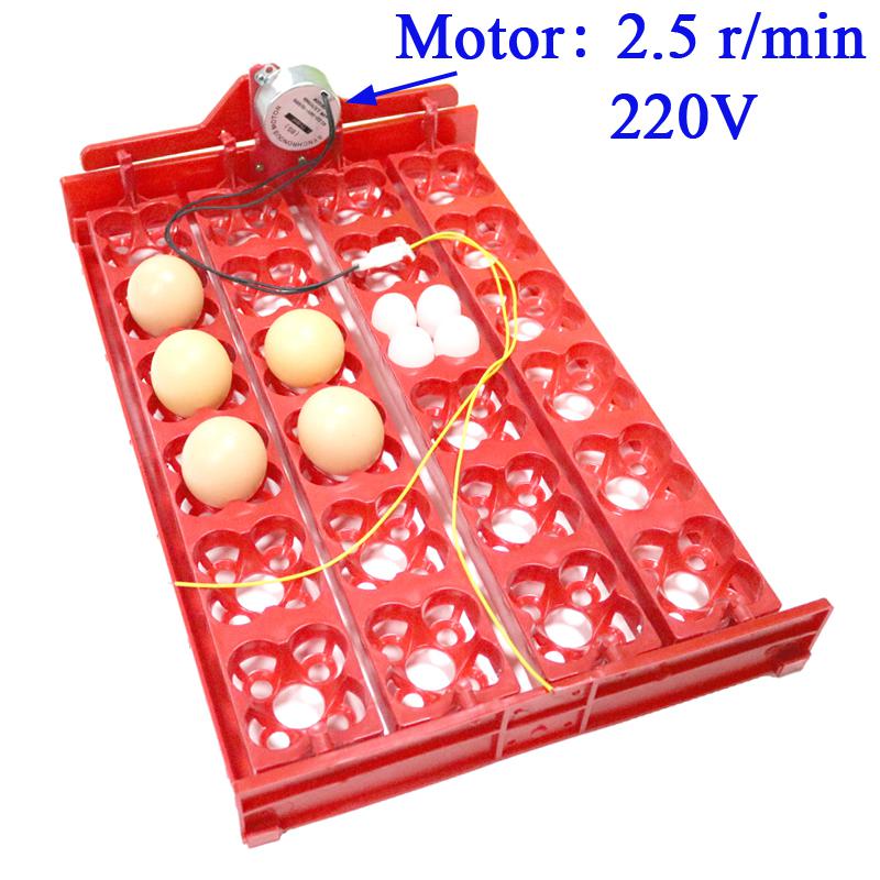 Incubadora para aves 96 huevos, bandeja automática de 24 huevos, herramienta de incubación de codornices de loros, tamaño 43*28 cm: 220V motor