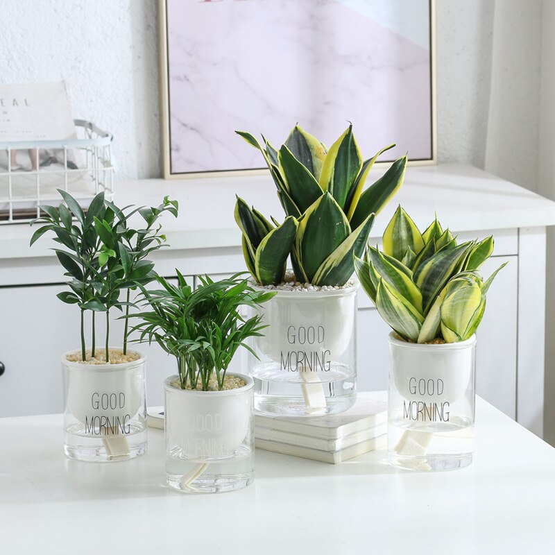 Automatische Selbst Bewässerung Pflanzen Topf Keramik Glas Doppel Pflanzer Topf Garten Auto Bewässern Töpfe Kreative Hause Dekoration Artikel