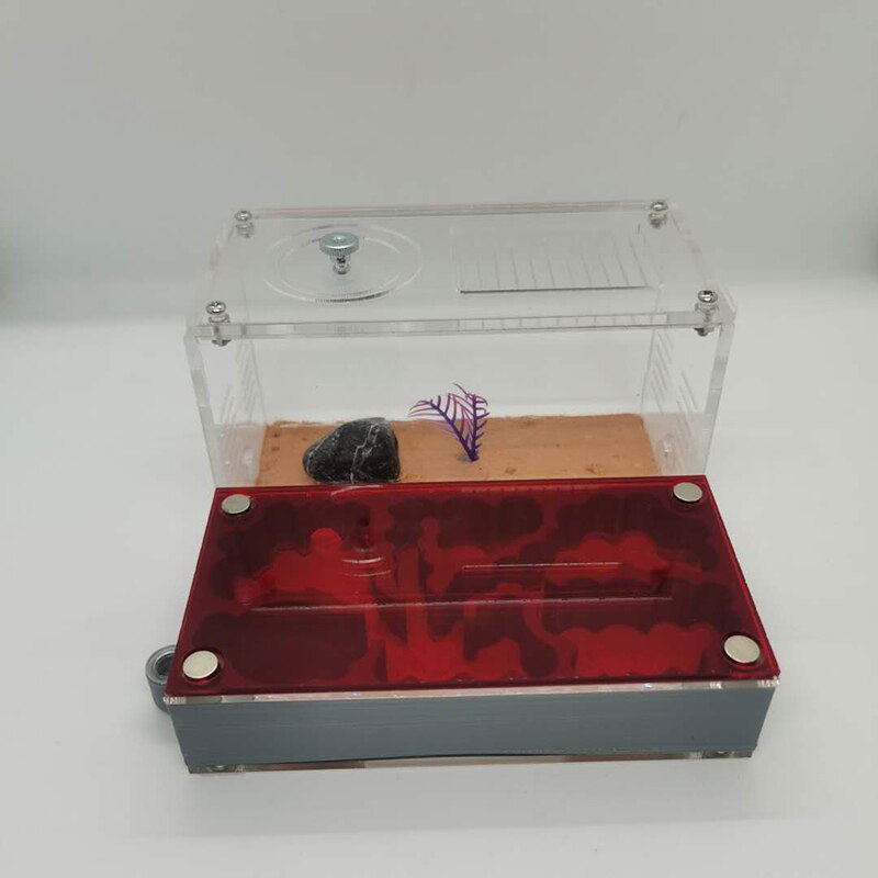 Large Size Ant Farm 3D Printing Flat Ant Nest Acrylic Activity Area Ant Workshop Castle Ant Nest With Shading Board 18x18x6.5cm: C-2