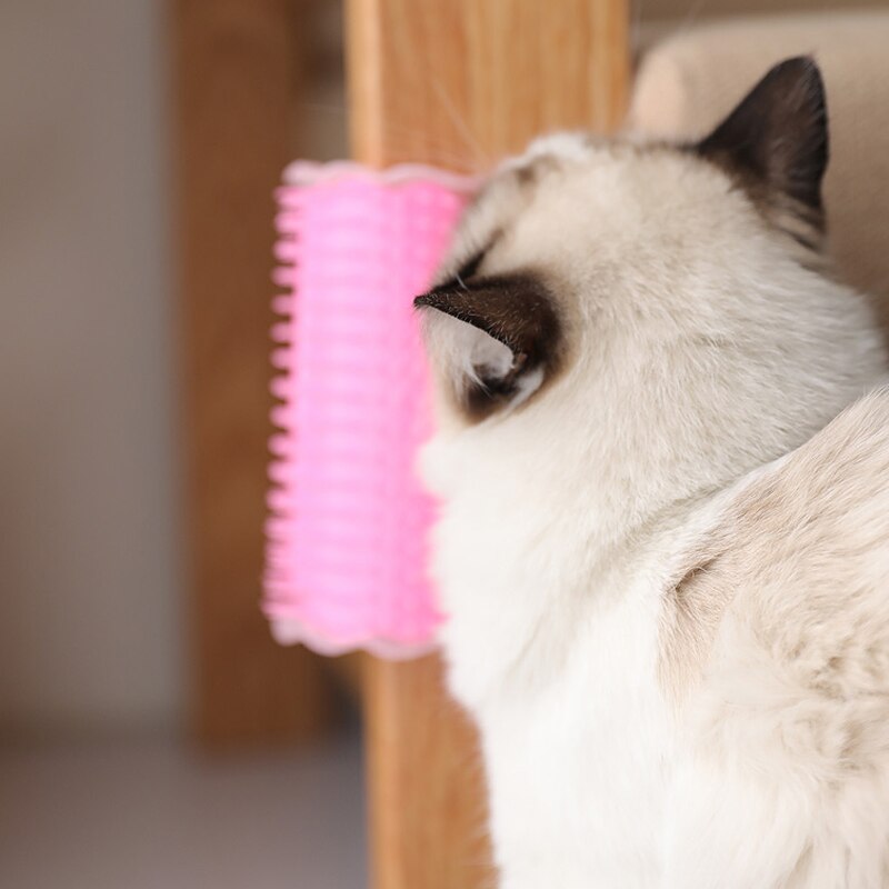 Kat Zelf Groomer Borstel Ontharing Kam Voor Kat Huisdier Verzorgen Leveringen Hond Haar Verlies Trimmen Kat Massage Apparaat Met kattenkruid