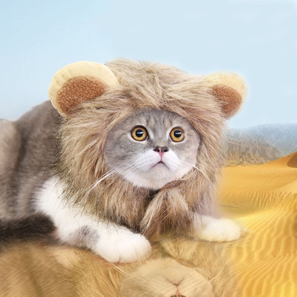 Sombrero para mascotas disfraz de gato Cosplay de León Peluca de crin gorro que cubre las orejas gatito vestido ajustable hasta el sombrero Halloween otoño suministros de invierno para animales