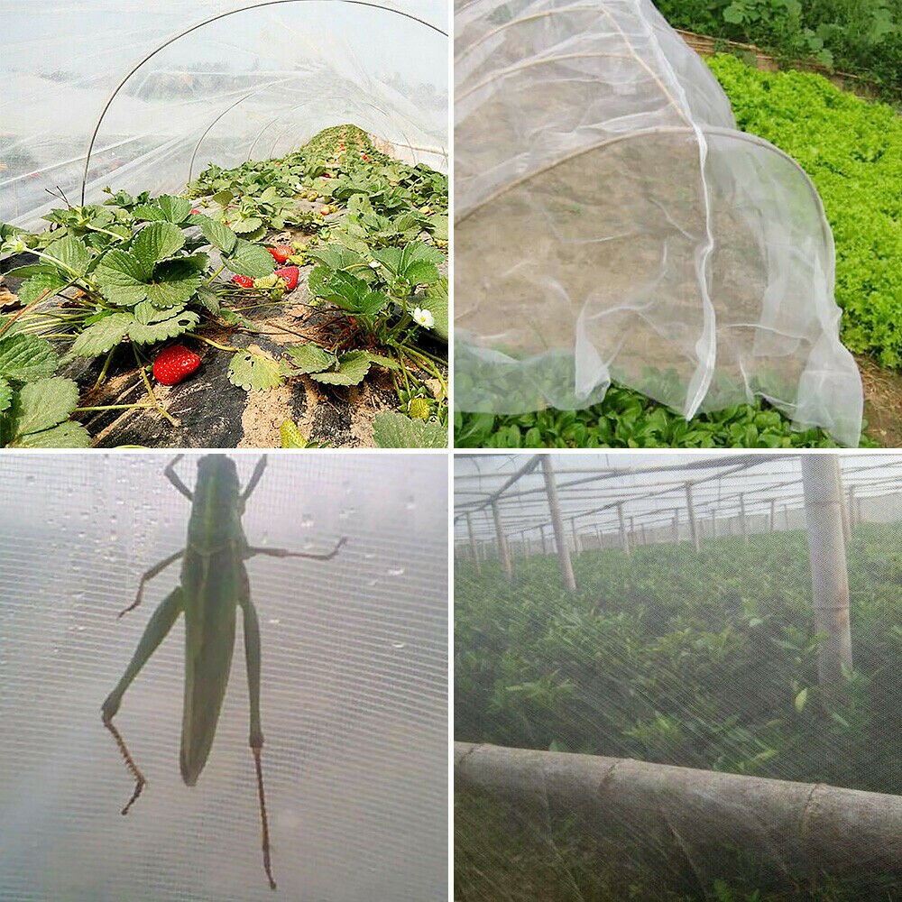 Insect Bird Barrier Netting Mesh Mosquito Garden Bug Net Plant Cover for Vegetables Plant Fruits Flower Protection 3x3m 10x10ft