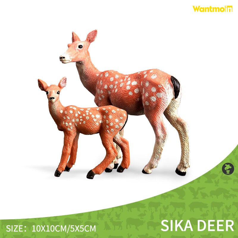 Wild Animals Model Family with Kangaroo Hippo Rhino Tiger Zebra/Realistic Wildlife Collection action figure for kids: Sika deer