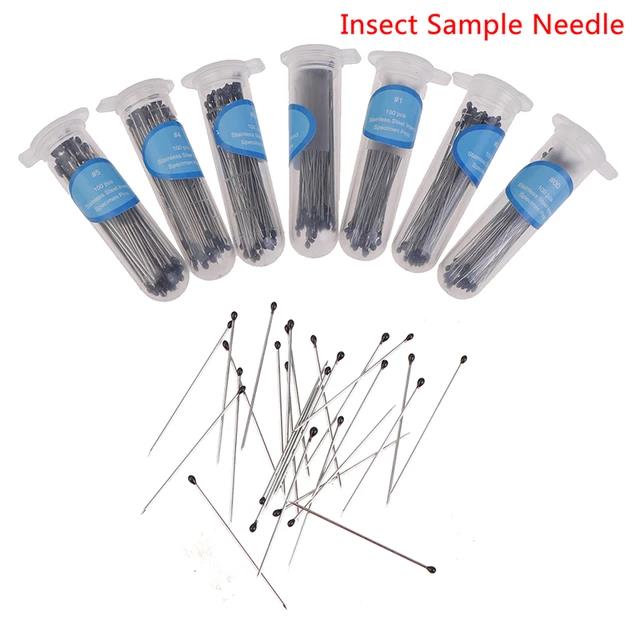 50Pcs Insect Pin Specimen Naald Rvs Met Buis Voor School Lab Entomologie Body Dissectie Insect Sample Naald