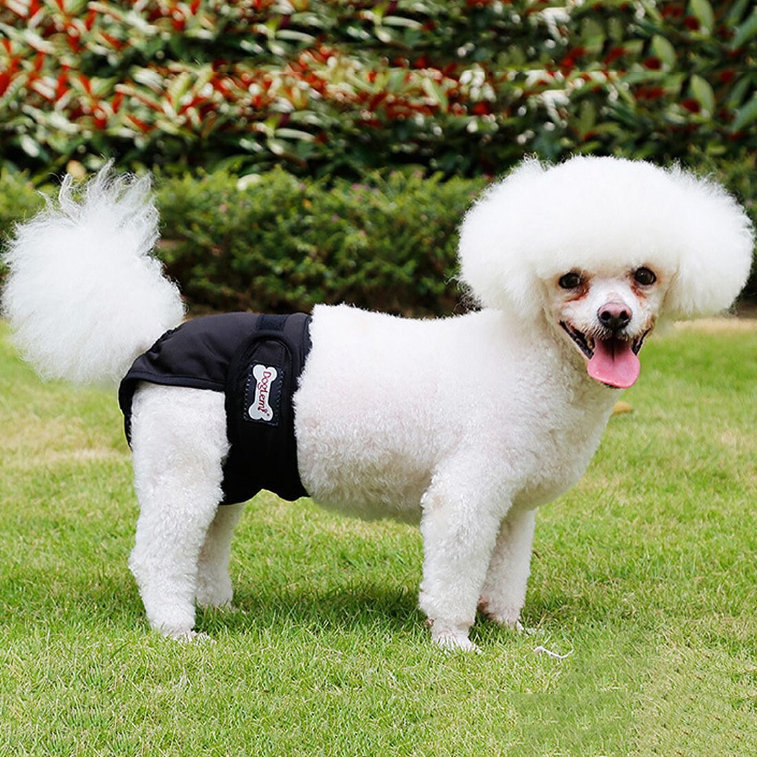 Dog Diapers Female Dog Shorts Breathable Physiological Pants Female Diaper Dog Sanitary Pants Underwear Briefs for Dogs
