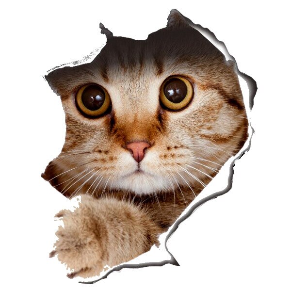 3D Creatieve Kat Hond Gebroken Muur Cartoon Sticker Zelfklevende Waterdicht Decoratie Wc Notebook Sticker: 01