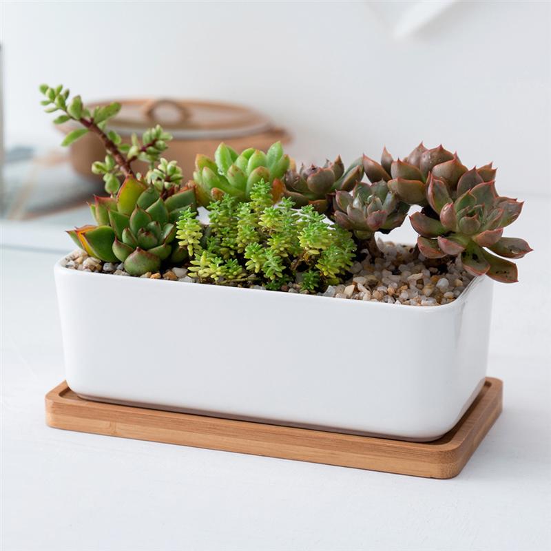 Ceramiczna podłużna doniczka z taca bambusowa doniczka na sukulenty ogród bonsai doniczka biała (1 szt. Doniczka 1 szt. Taca bambusowa)