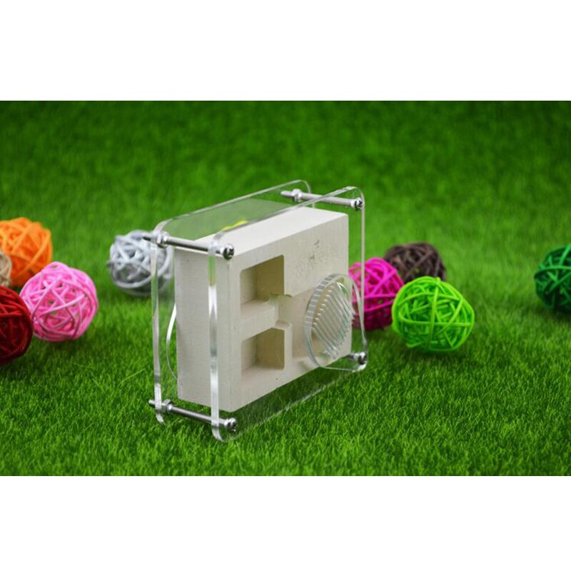 Mała farma mrówek willa akrylowe gniazdo gipsowe małe społeczności mini gniazdo mrówek owadów