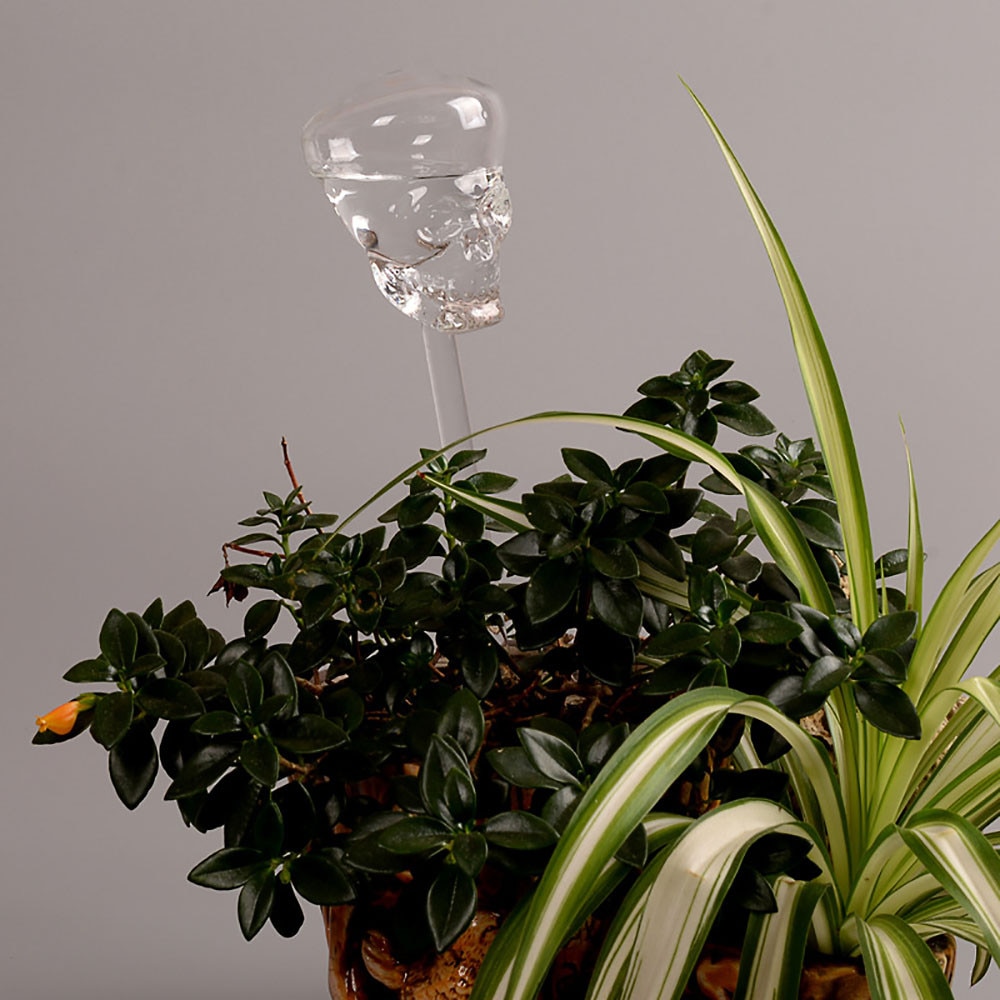 Heißer Plasic/glas Pflanze Blume Wasser Zubringer Selbst Bewässerung Gerät Zimmerpflanze Blumentopf Lampe Globus Garten Haus Waterer Vogel # PJR