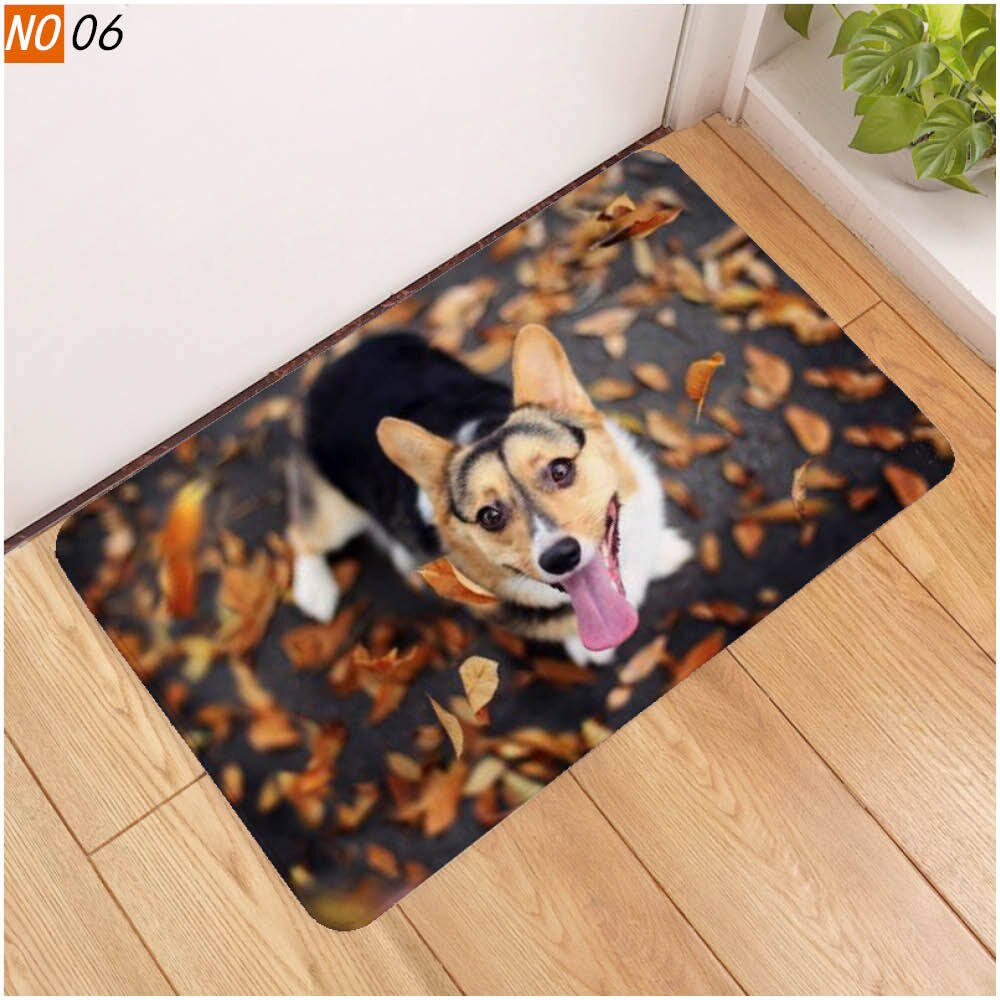 40x60 door mat 3D cute pet dog printed rubber mat 3D animal mat: 1108-6 / 60x40cm