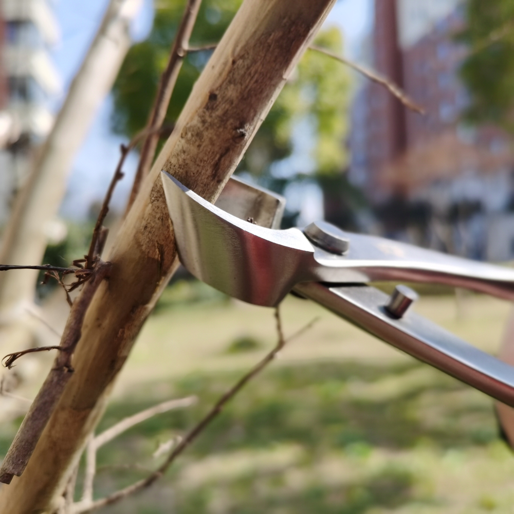 Herramienta de corte de poda de bonsái de acero inoxidable, tijeras para plantas y árboles, cortador de alambre para herramientas de poda de jardín