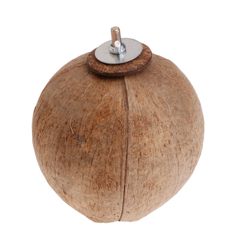 Parrot Nest Natural Coconut Shell House Cage Feeder Parakeet Birds Squirrel Hamster Toys Pet Breed Decoration Supplies Pendant