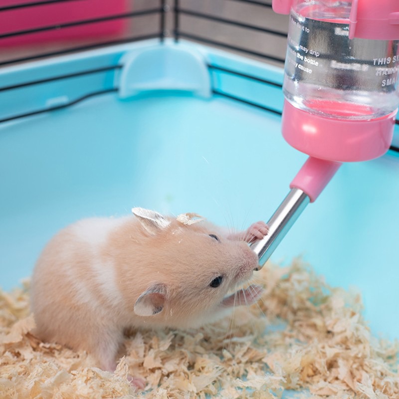 Bebedero de plástico para hámster, botella de agua para animales pequeños, accesorios para mascotas