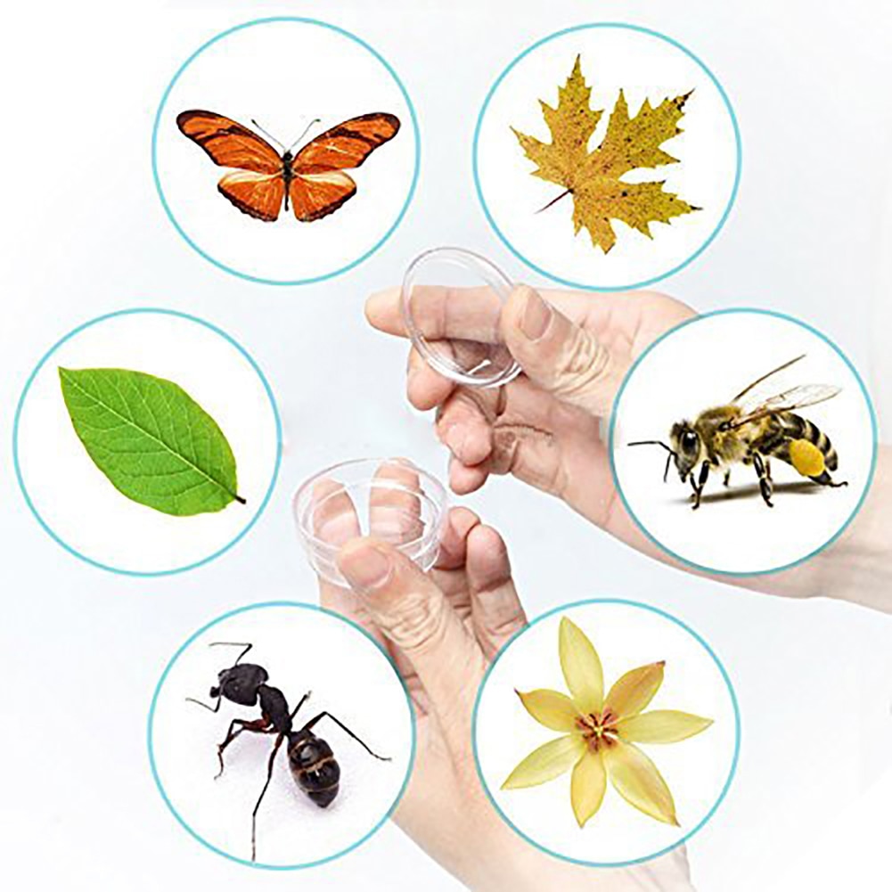 Enfants Microscope Bug receveur visionneuse ensemble outils loupe étui de Collection Explorer jouet éducatif