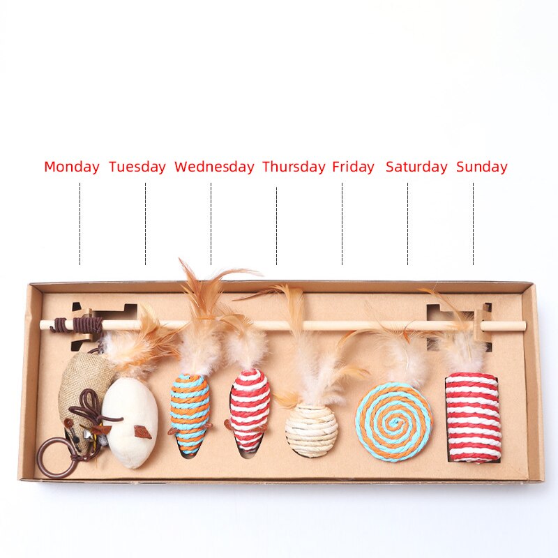 Feather Cat Toy Set Interactive Funny Cat Kitten Teaser Rod Toys Box Package