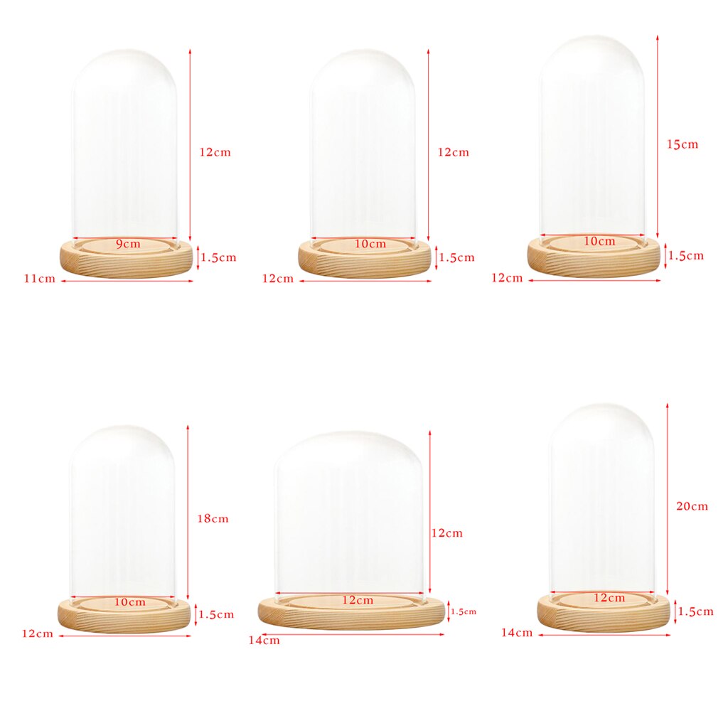 Glass Dome Wooden Base With LED Light Birthday Bedroom Decor