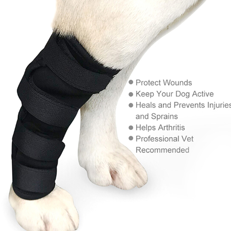 1pc åndbar hund knæstøtte benbeskytter seler skade genoprette ben kæledyr benpleje til bagben hock joint wrap