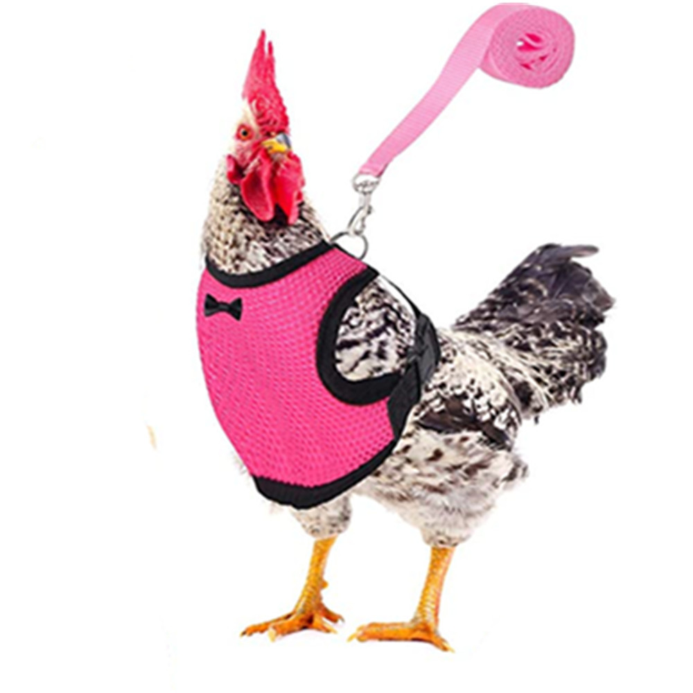 Gilet à la pour poulet et canard, ceinture pour poule, harnais pour animaux de compagnie, colliers assortis avec nœud, laisse confortable, respirant, fournitures pour volaille: S / pink