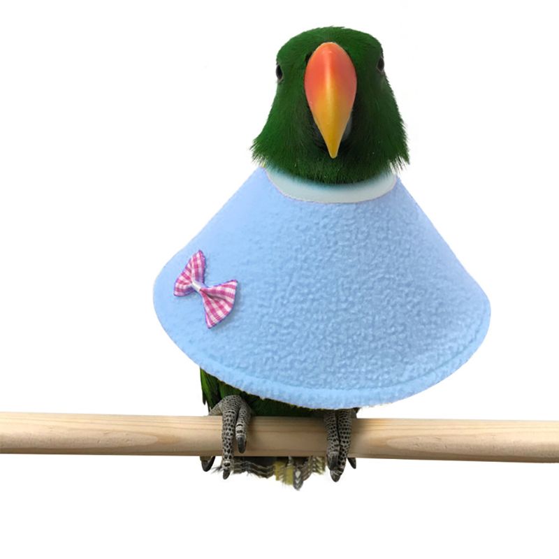 Pájaro capa loro protección cono cuello recuperación Collar de aves Collar isabelino