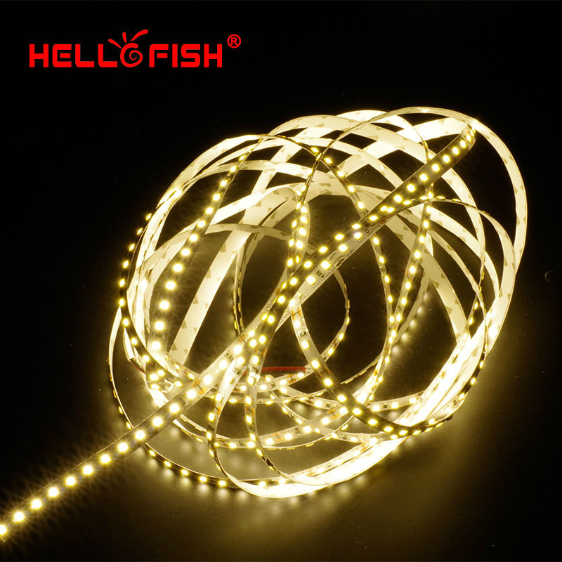 5 m 2835 LED Strip Single Layer PCB 600 Licht 2835 SMD 12 v Flexibele LED Tape Wit Warm Wit