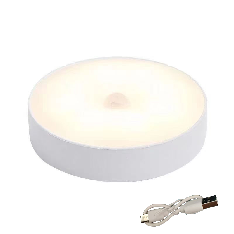 Emergency automatic lighting USB charging LED intelligent human body sensor night light: PURPLE / BROWN