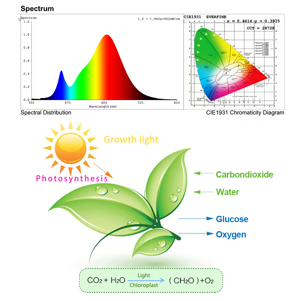 Phytolamp Für Pflanzen LED 220V Flutlichter Vollspektrum Hydrokultur-Anbausystem LED-Wachstumslampen 50/96/144 LEDS Pflanzenbeleuchtung