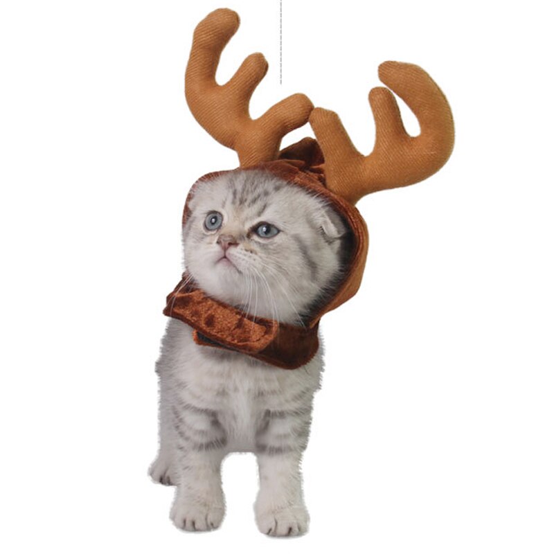 Kerst Huisdier Leuke Rendier Kostuum Hoed Voor Kat En Kleine Hond