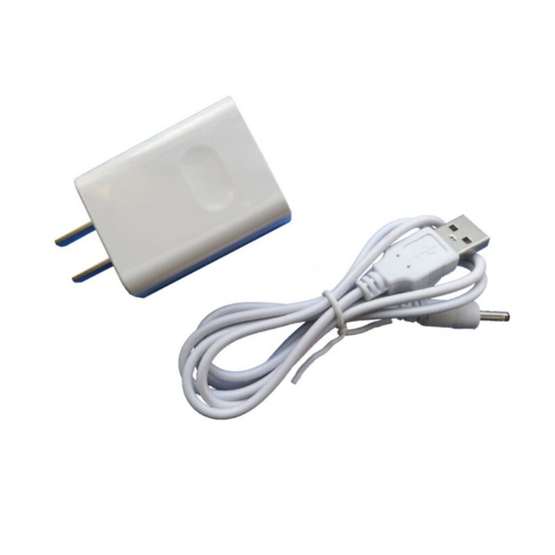 253nm UVC Germicidal Lamp Sterilizer UVC Light Bulb Germicidal Lamp For Killing Virus Mite Mite Bacteria