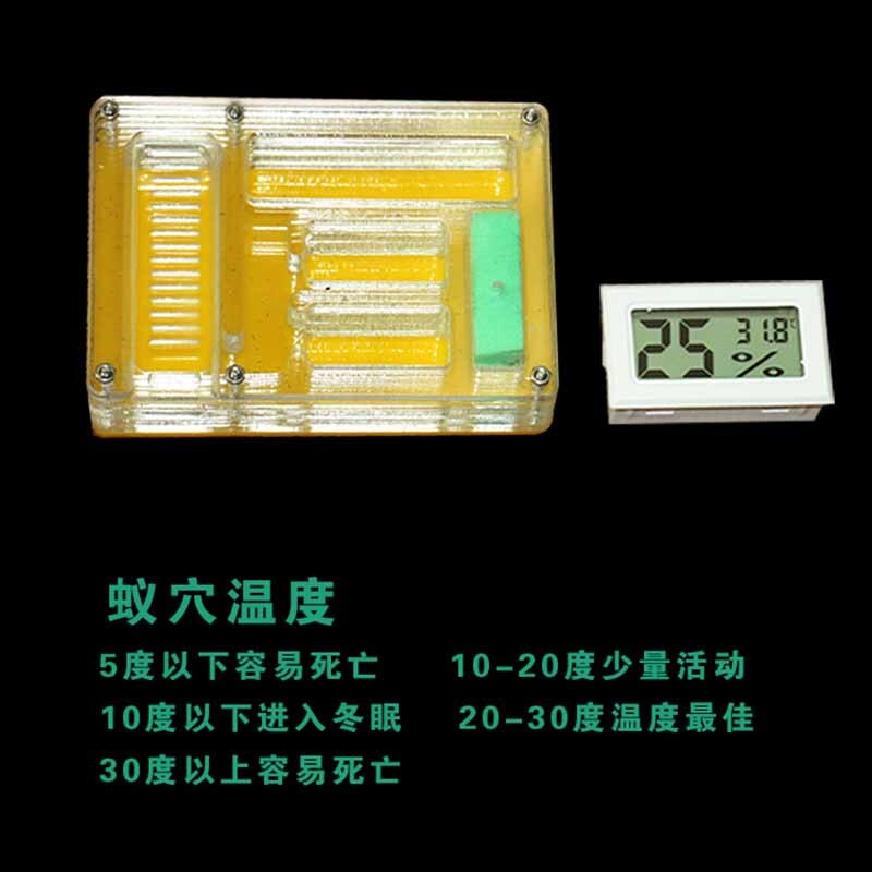 Acrylic Ant Farm Pet Breeding Box Insect Supplies Reptile Terrarium for Pet Lovers